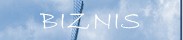 Biznis